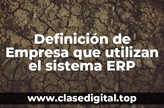Definición de Empresa que utilizan el sistema ERP
