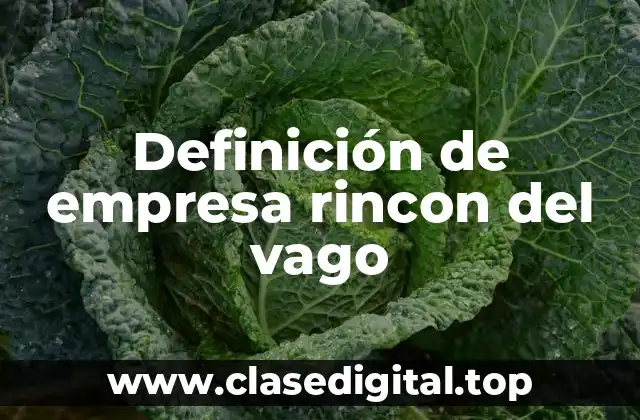 📗 Definición técnica de empresa rincon del vago