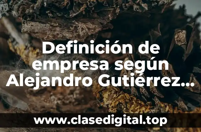 Definición de empresa según Alejandro Gutiérrez Díaz