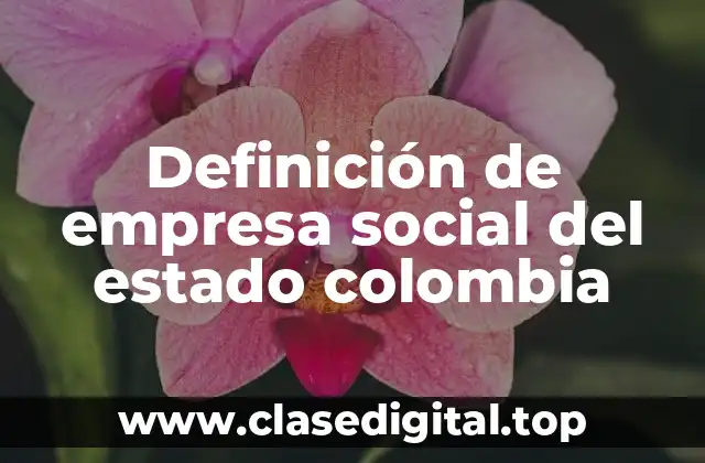Definición de empresa social del estado colombia