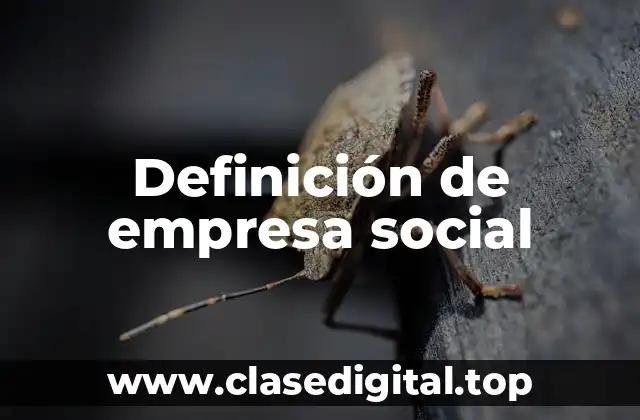 Definición de empresa social