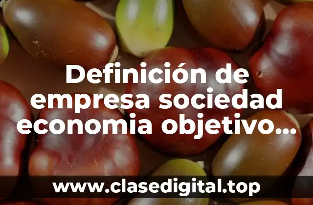 Definición de empresa sociedad economia objetivo de su creación