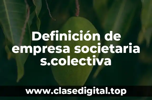 Definición de empresa societaria s.colectiva