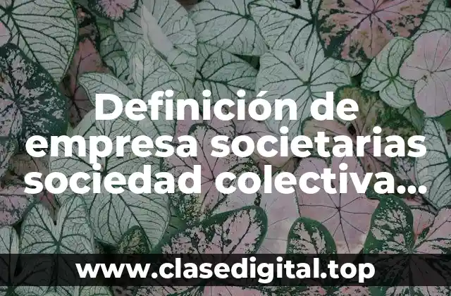 Definición de empresa societarias sociedad colectiva ejemplo