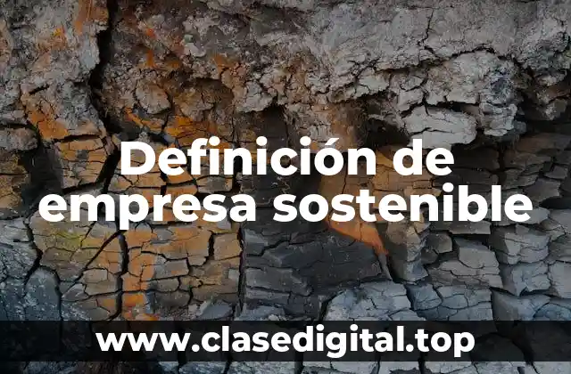 Definición de empresa sostenible