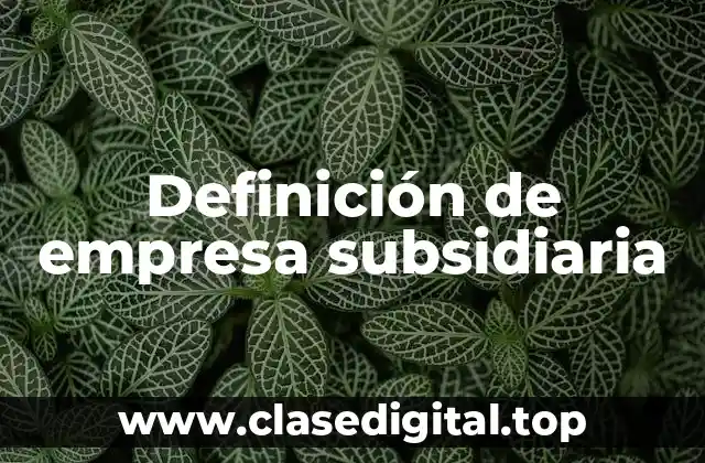 Definición de empresa subsidiaria