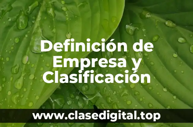 📗 Definición técnica de empresa