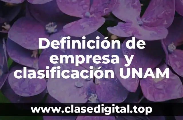 Definición de empresa y clasificación UNAM