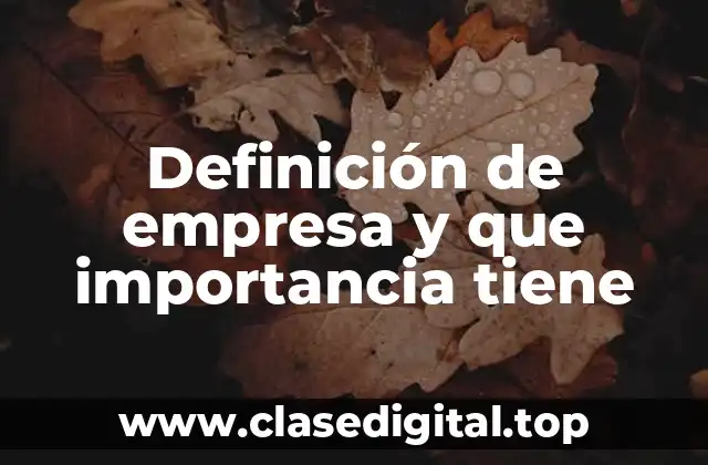 ✅ Definición técnica de empresa