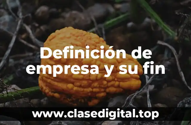 Definición de empresa y su fin