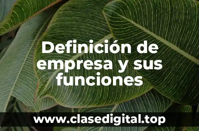 Definición de empresa y sus funciones