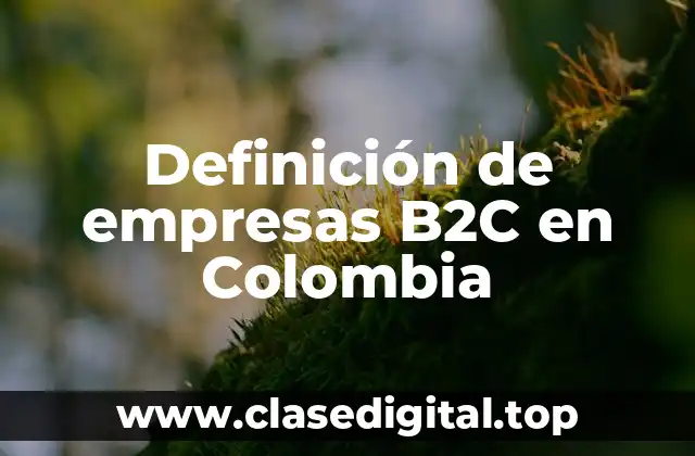 Definición de empresas B2C en Colombia