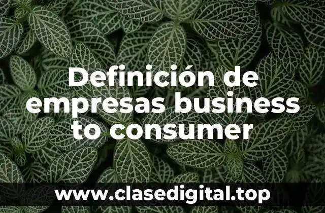 Definición de empresas business to consumer