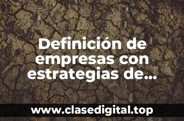 Definición de empresas con estrategias de liderazgo en costos