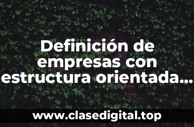 Definición de empresas con estructura orientada a proyectos