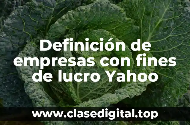Definición de empresas con fines de lucro Yahoo