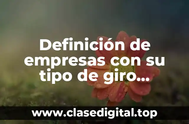 Definición de empresas con su tipo de giro comercial