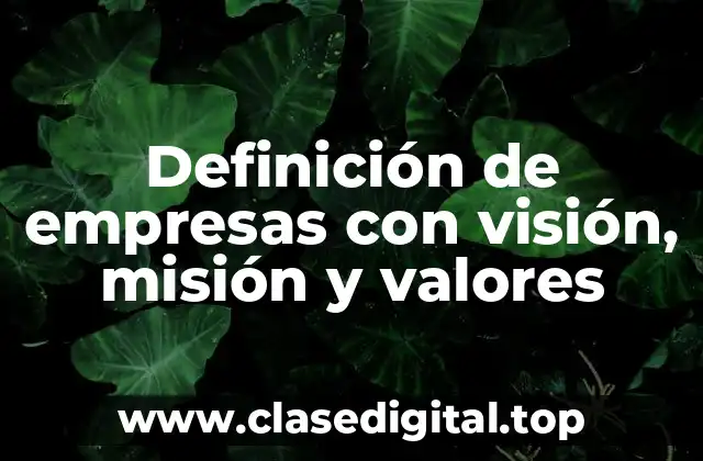 Ejemplos de empresas con visión, misión y valores