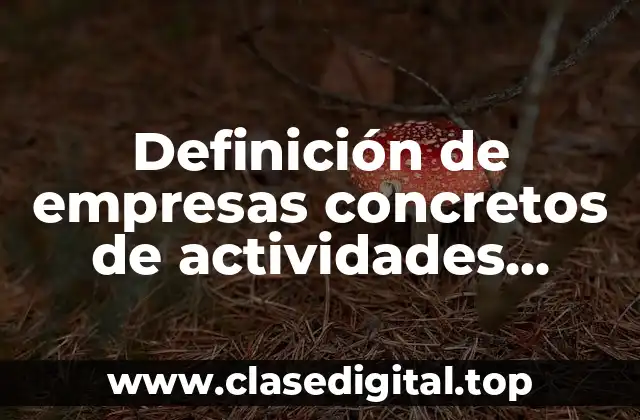 Definición de empresas concretos de actividades económicas del sector industrial