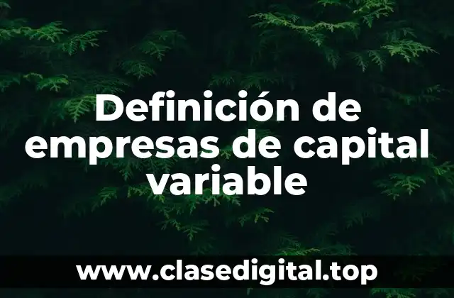 Definición de empresas de capital variable