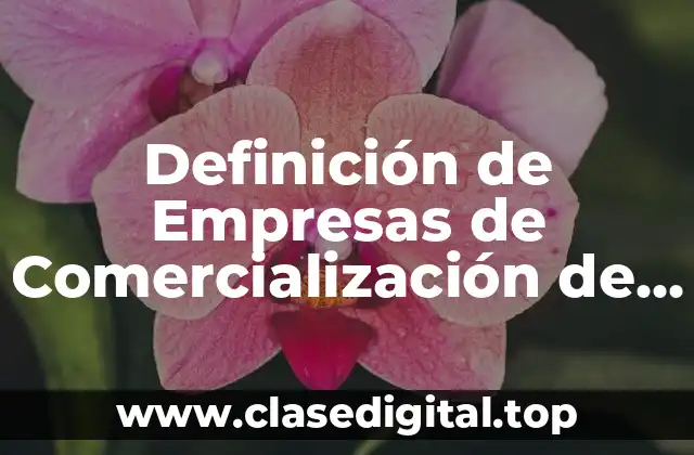 Definición de Empresas de Comercialización de Bienes