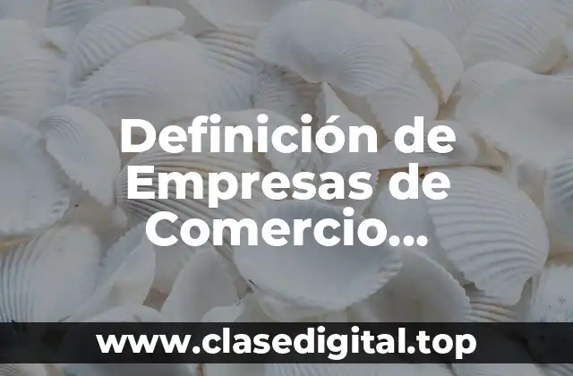 ✴️ Definición técnica de Empresas de Comercio Electrónico