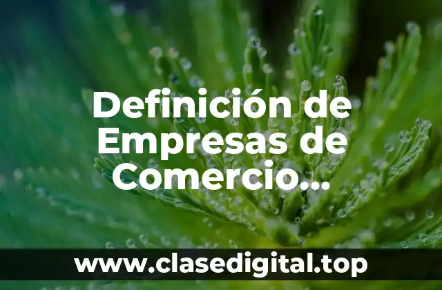 Definición de Empresas de Comercio Electrónico