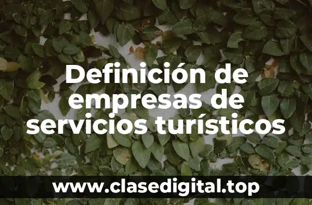 📗 Definición técnica de empresas de servicios turísticos