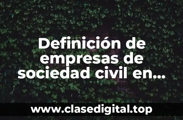 Definición de empresas de sociedad civil en Chihuahua