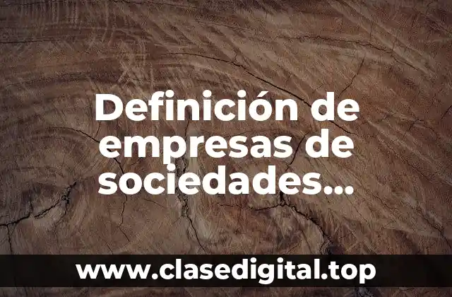 Definición de empresas de sociedades irregulares