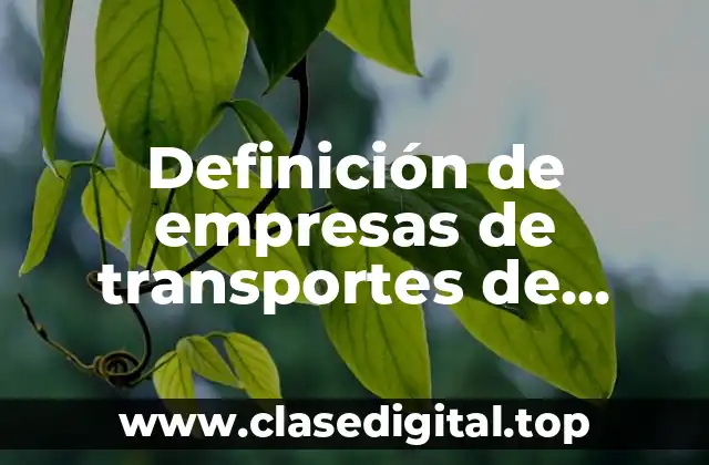 Ejemplos de empresas de transportes de personas o cosas