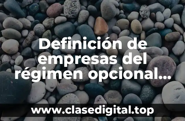 Definición de empresas del régimen opcional para grupos de sociedades