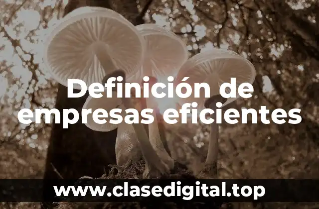Definición de empresas eficientes