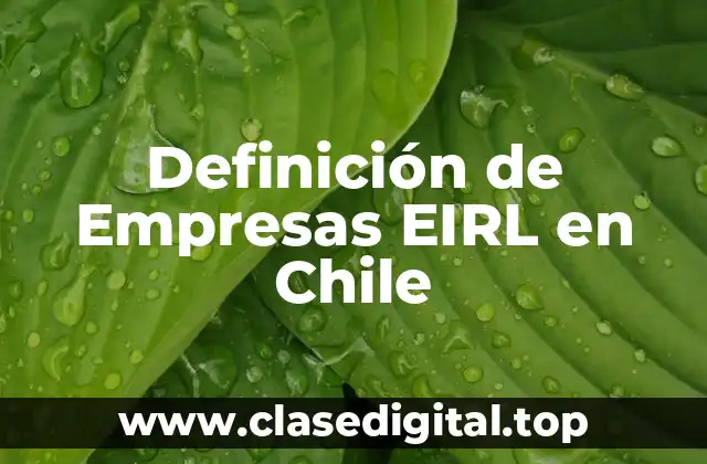 Ejemplos de Empresas EIRL en Chile