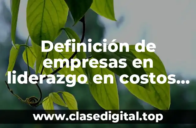 Definición de empresas en liderazgo en costos mexicanas