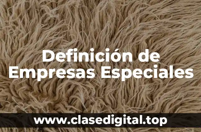 Definición de Empresas Especiales