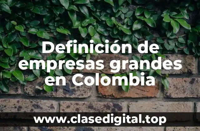Definición de empresas grandes en Colombia