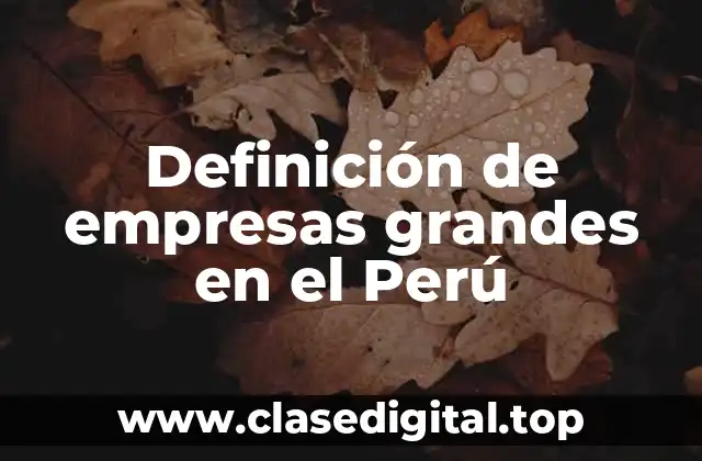Definición de empresas grandes en el Perú