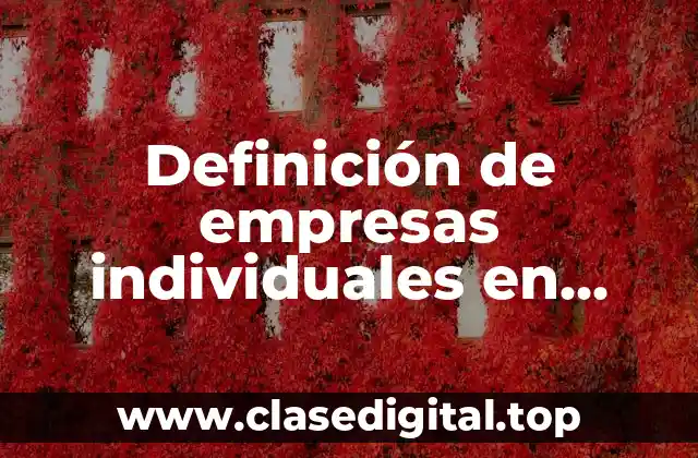 Definición de empresas individuales en Venezuela