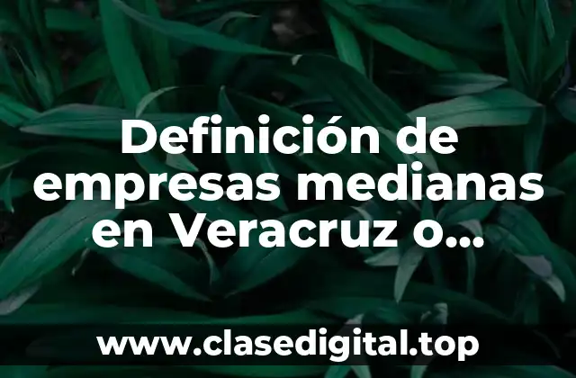 Definición de empresas medianas en Veracruz o México