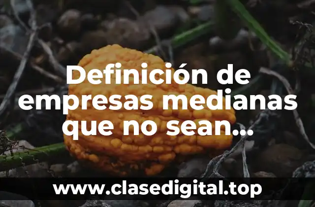 Definición de empresas medianas que no sean internacionales