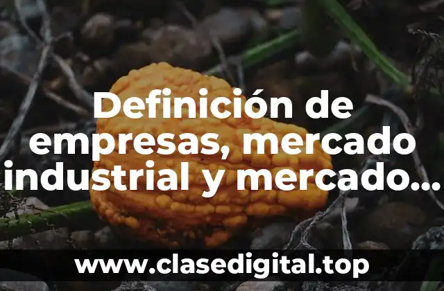 Ejemplos de empresas