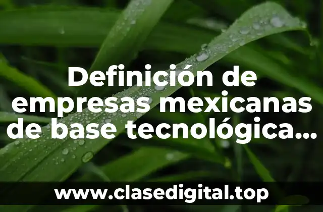 Definición de empresas mexicanas de base tecnológica existentes