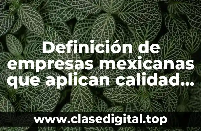Definición de empresas mexicanas que aplican calidad total