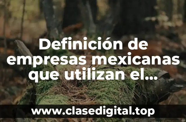 Definición de empresas mexicanas que utilizan el balanced scorecard