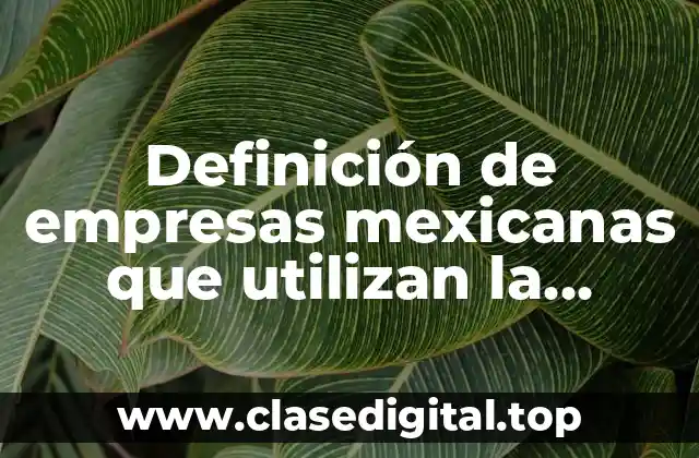Definición de empresas mexicanas que utilizan la calidad total