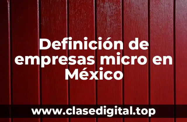 Ejemplos de empresas micro en México