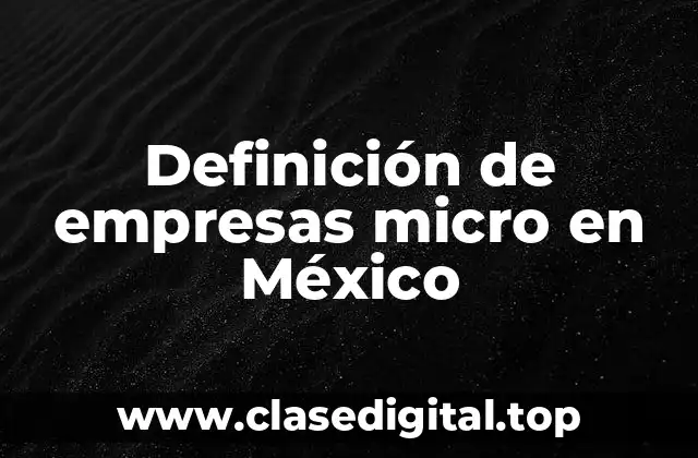 Definición de empresas micro en México
