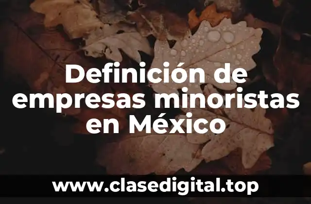 Ejemplos de empresas minoristas en México