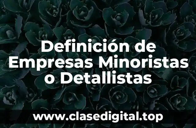 Definición de Empresas Minoristas o Detallistas
